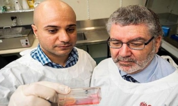 Des scientifiques découvrent un «remède» contre le cancer du col de l’utérus