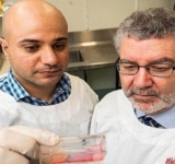Des scientifiques découvrent un «remède» contre le cancer du col de l’utérus