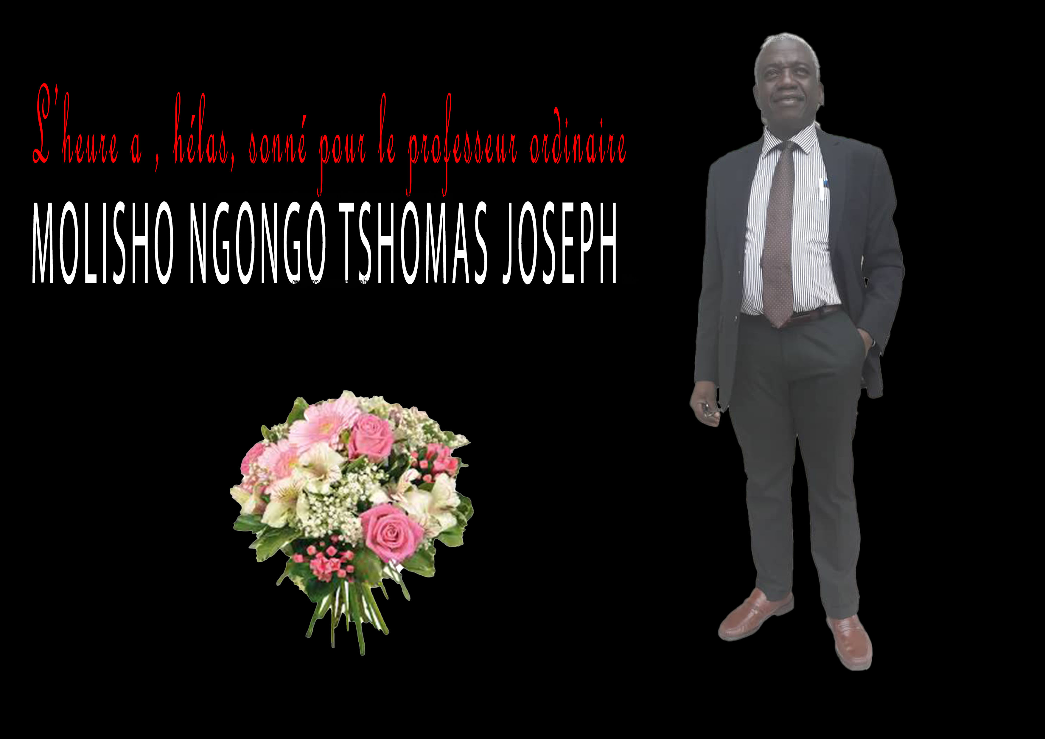 Composition pour site web en mémoire du Pr MOLISHO